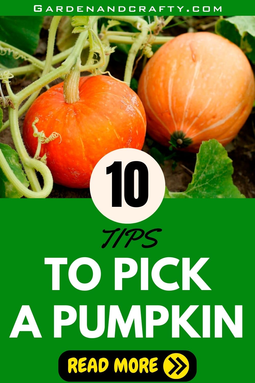 10 Tips To Pick A Pumpkin That Can Last Until Halloween Ends