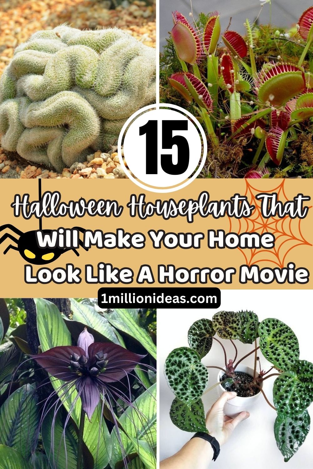 15 Halloween Houseplants That Will Make Your Home Look Like A Horror Movie