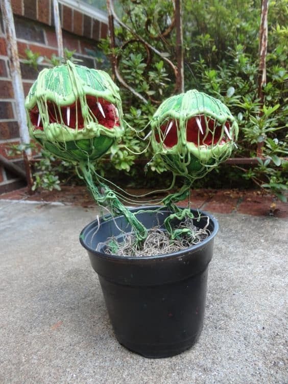 Haunting Hungry Plants
