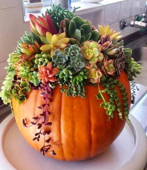 halloween pumpkin decorating 