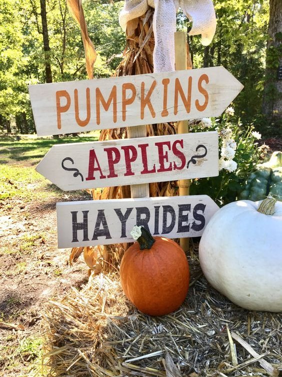 Fall Backyard Signs 