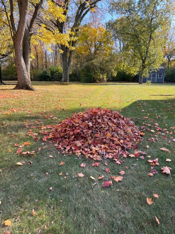 Leaf Pile Play Area 