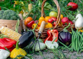 30 Fall Vegetables To Plant In Your Garden For A Flavorful Winter 30 Fall Vegetables To Plant In Your Garden For A Flavorful Winter
