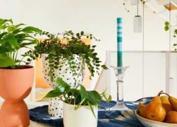 20 Houseplants For Fall Decor That Will Transform Your Home Entirely