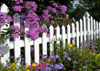 30 Garden Fence Ideas That Showcase Your Personality And Taste 30 Garden Fence Ideas That Showcase Your Personality And Taste
