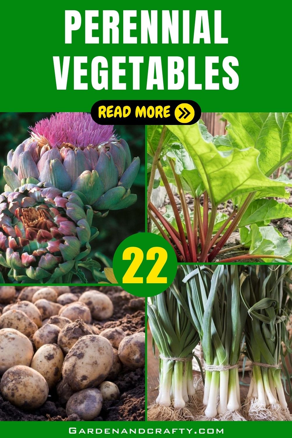 22 Amazing Perennial Vegetables That Will Keep Coming Back Every Year