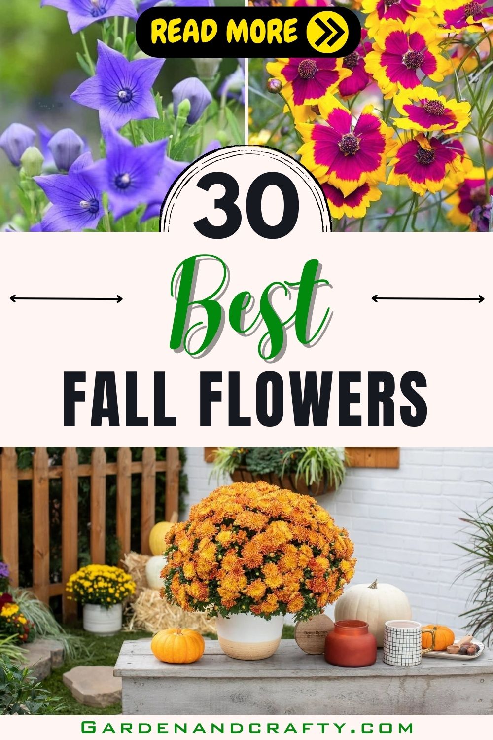 30 Best Fall Flowers For Your Stunning Autumnal Garden