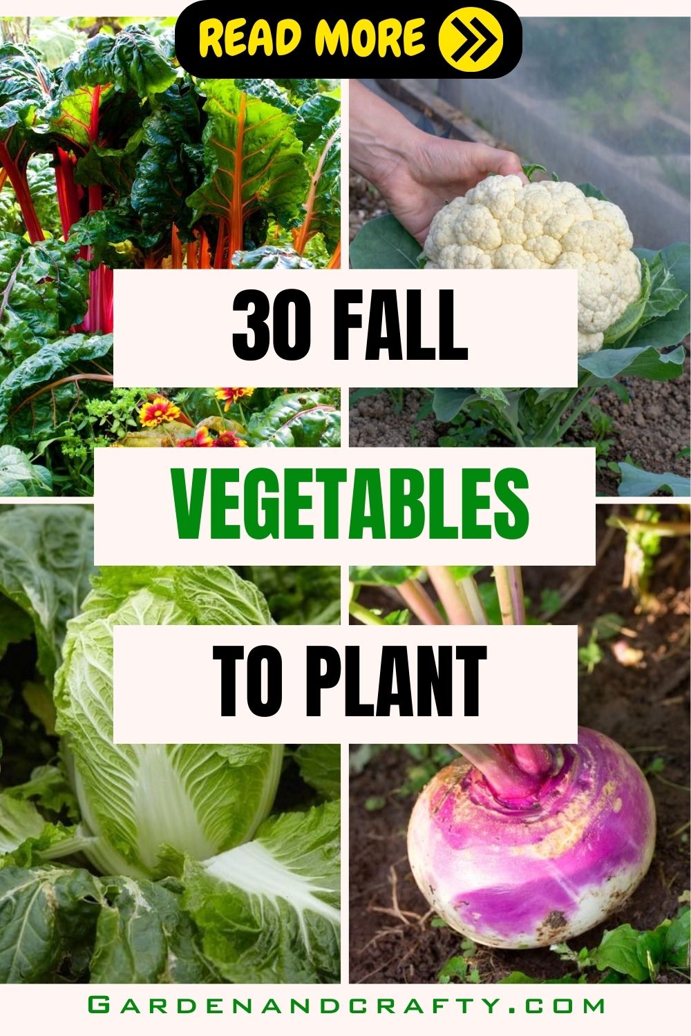 30 Fall Vegetables To Plant In Your Garden For A Flavorful Winter