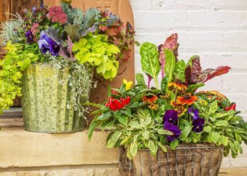 30 Fall Container Ideas To Brighten Up Your Porch And Patio