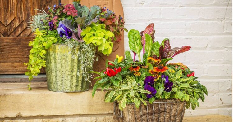 30 Fall Container Ideas To Brighten Up Your Porch And Patio