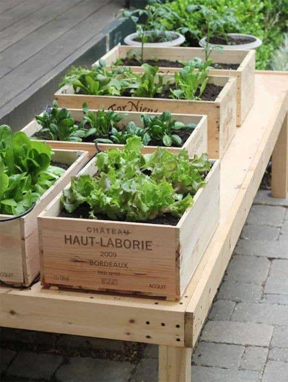 Crate Vegetable Garden