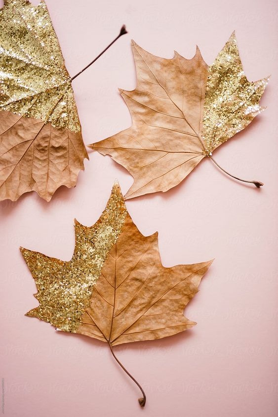 fall leaves decor 