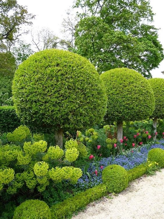 Heavenly Hedges
