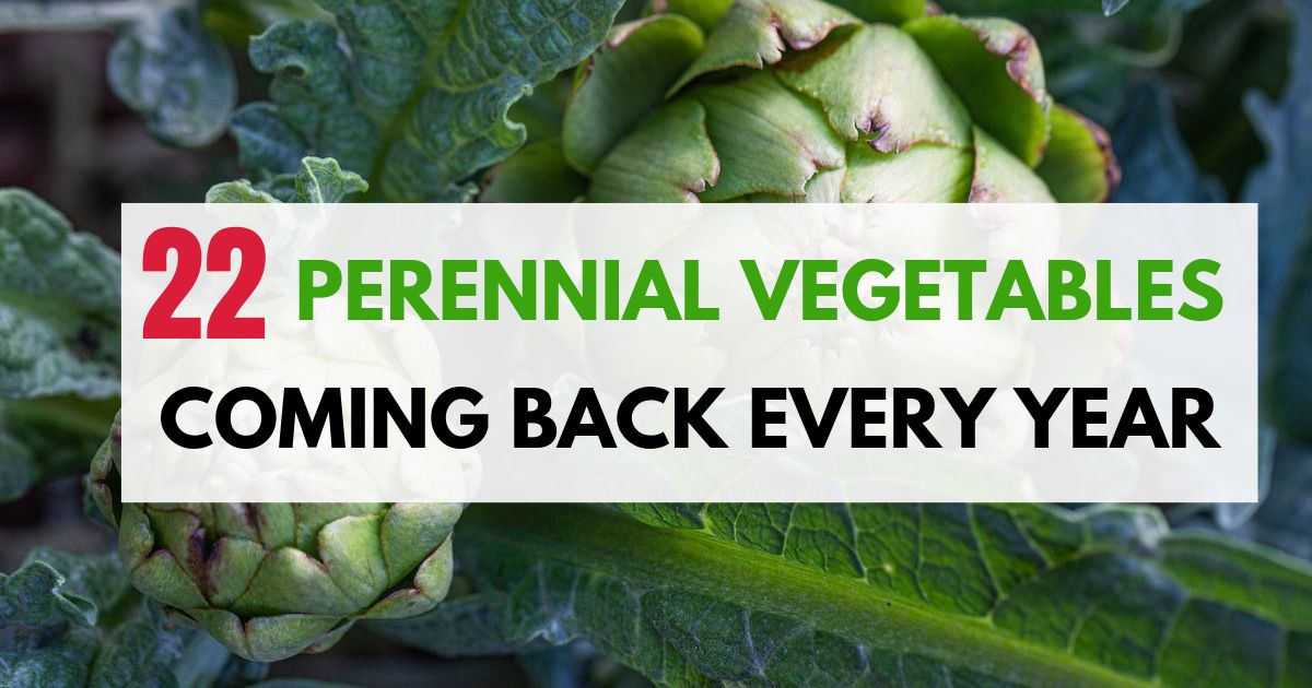 22 Amazing Perennial Vegetables That Will Keep Coming Back Every Year