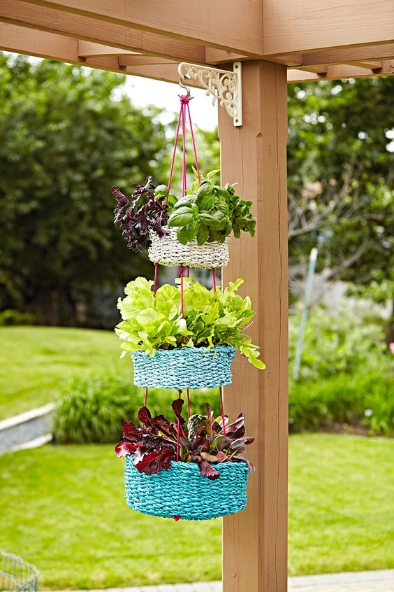 growing vegetables in containers 