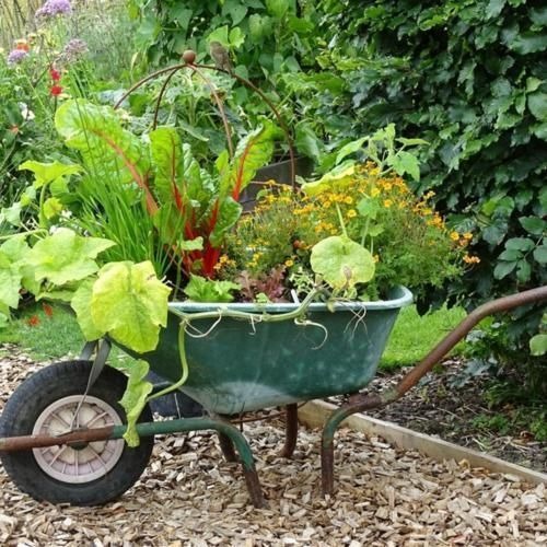 container vegetable gardening 