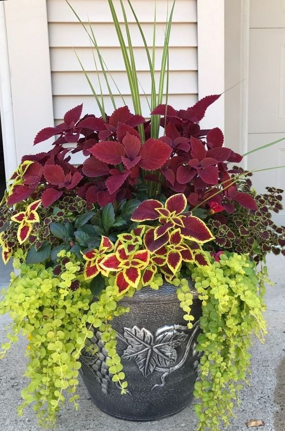 30 Fall Container Ideas To Brighten Up Your Porch And Patio