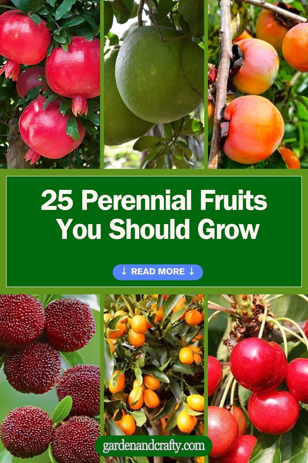 Top 25 Perennial Fruits