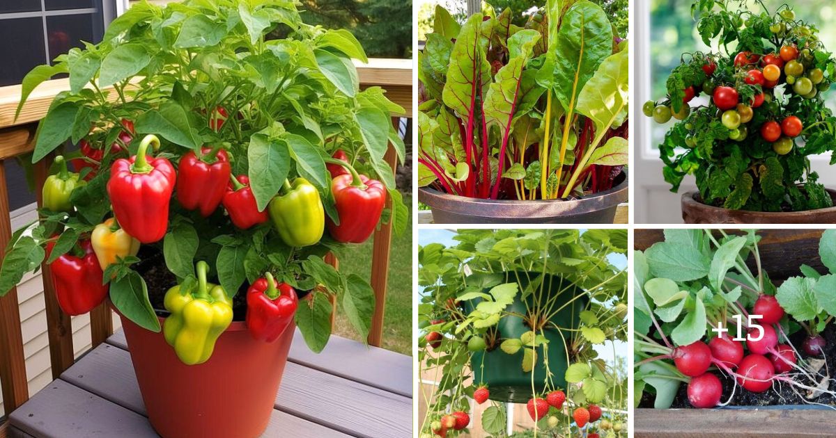 20 Best Vegetables To Grow In Pots For A YearRound Supply Of Fresh Produce