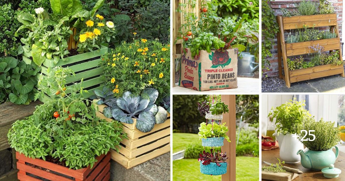 30 Vegetable Container Garden Ideas That Help You Save Space And Money