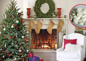 7 Simple Tricks To Keep A Real Christmas Tree Alive