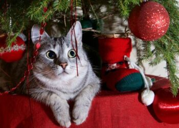 How To Keep Your Cat Out Of The Christmas Tree: 7 Tips And Tricks