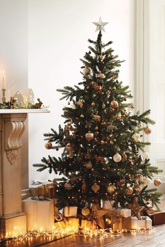10 Key Things To Know Before Buying The First Christmas Tree