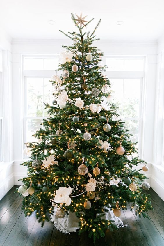 10 Key Things To Know Before Buying The First Christmas Tree