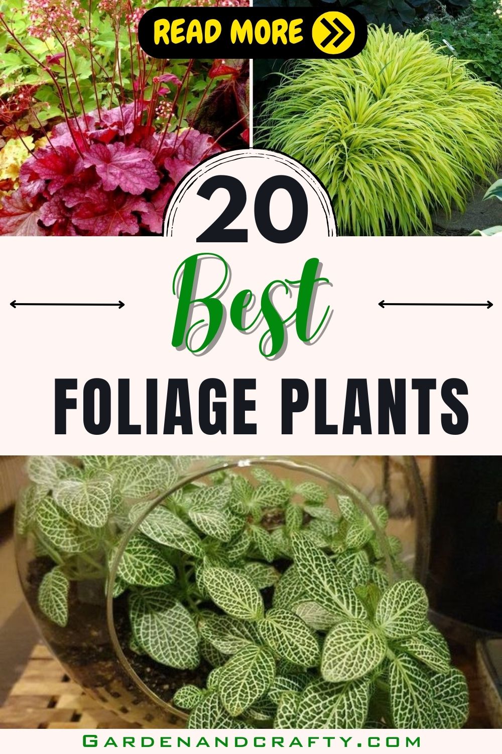 20 Best Foliage Plants That Will Add Color And Texture To Your Space