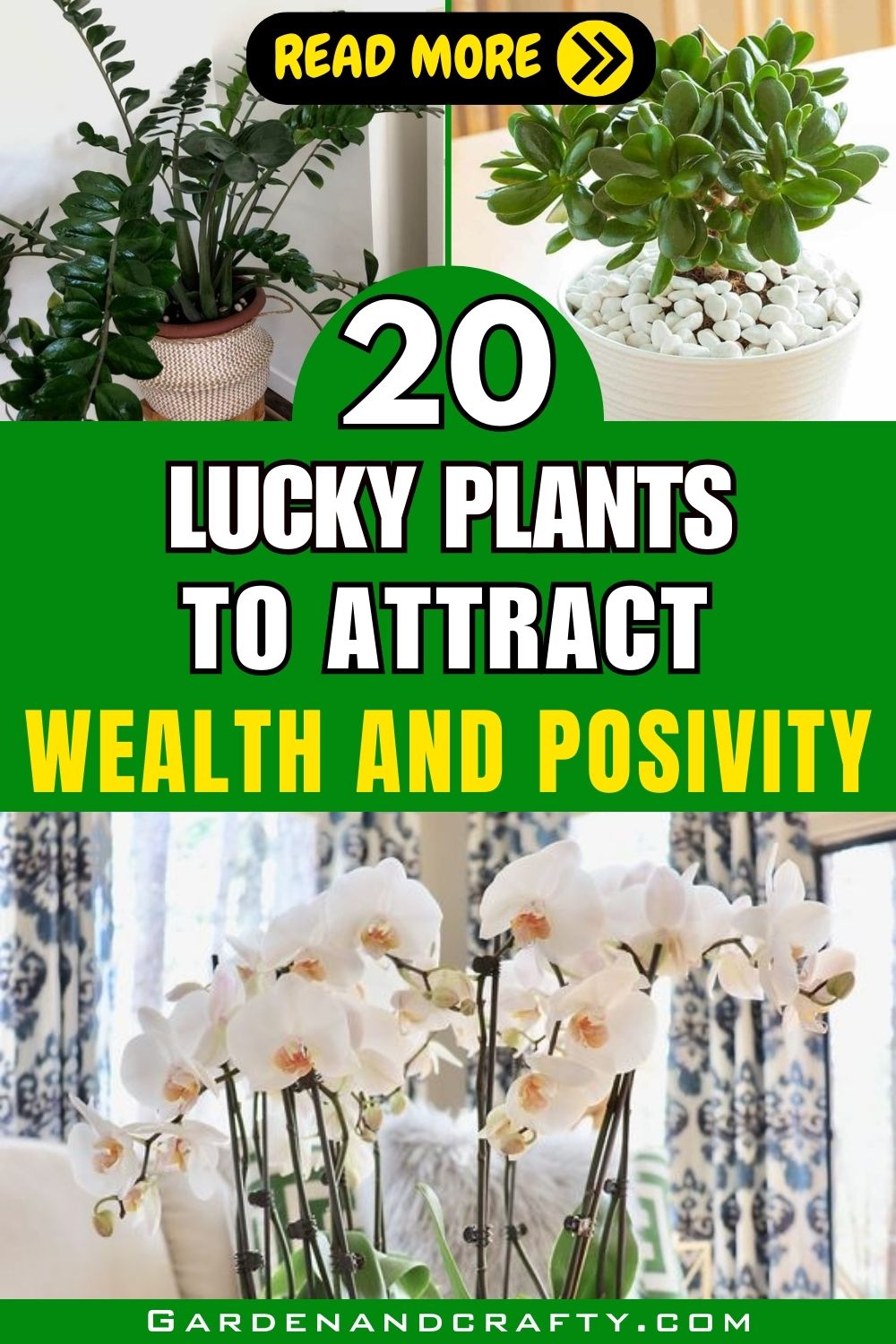 20 Lucky Plants To Create A Positive And Prosperous Environment