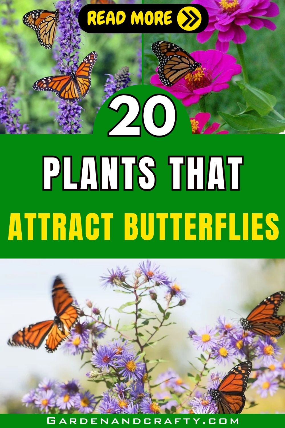 20 Plants That Attract Butterflies And Other Pollinators