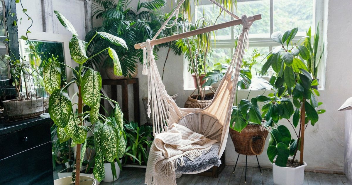 20 Amazing Bedroom Plants That Can Help You Sleep Like A Baby