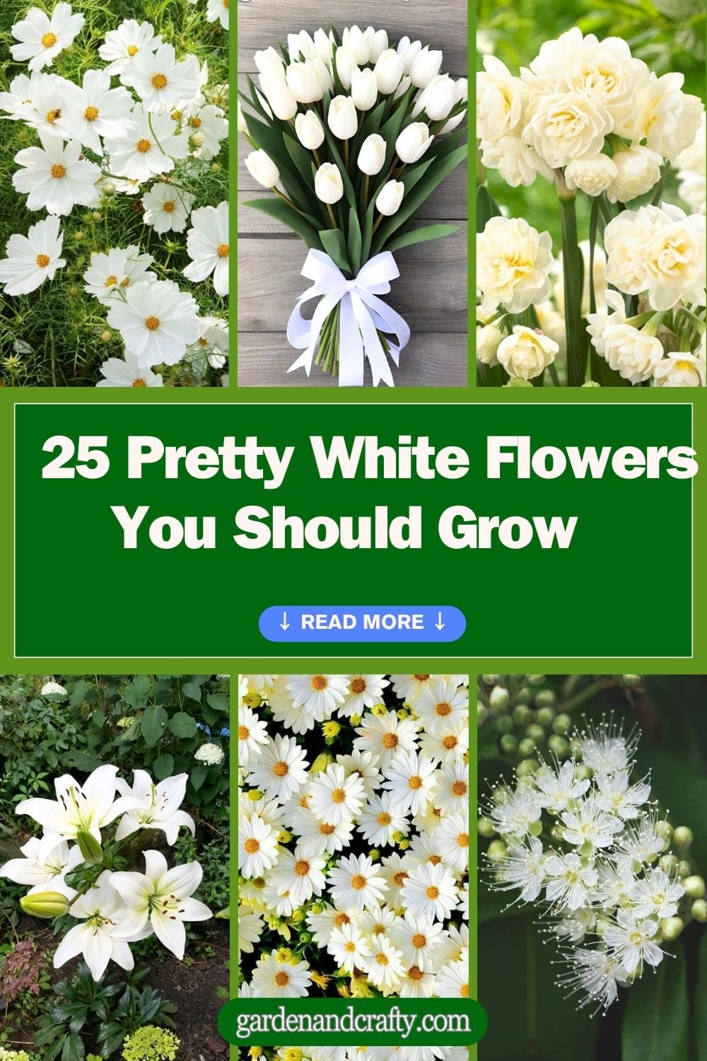 25 Pretty White Flowers You Should Grow In Your Garden