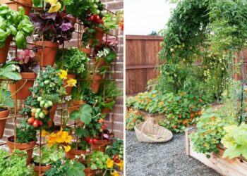 30 Small Garden Ideas That Will Inspire You To Go Green 30 Small Garden Ideas That Will Inspire You To Go Green