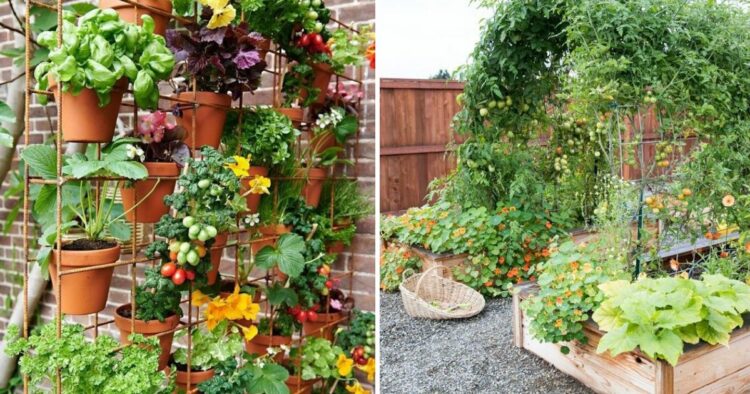 30 Small Garden Ideas That Will Inspire You To Go Green