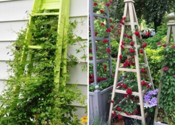 30 Creative DIY Garden Trellis Ideas For Vertical Gardening 30 Creative DIY Garden Trellis Ideas For Vertical Gardening
