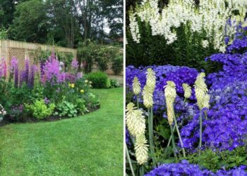 30 Flower Bed Ideas That Are Worth Trying In Your Garden