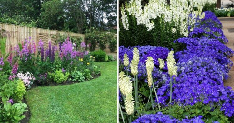 30 Flower Bed Ideas That Are Worth Trying In Your Garden