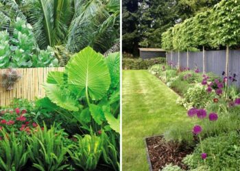 52 Fence Border Landscaping Ideas to Beautify Your Yard