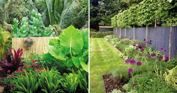 52 Fence Border Landscaping Ideas to Beautify Your Yard