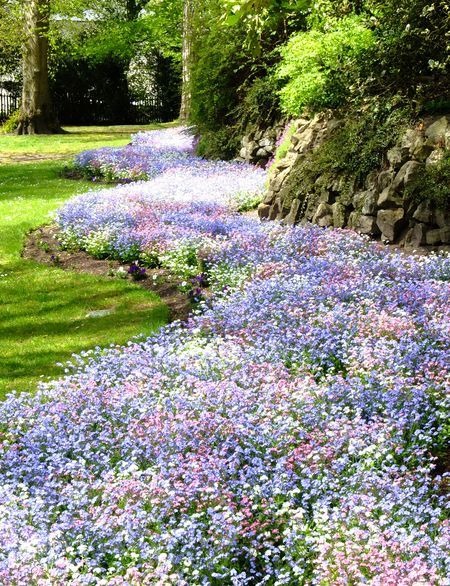 A River Of Flowers