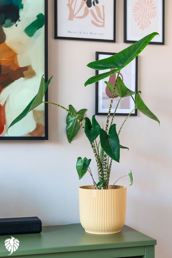 20 Poisonous Houseplants That Can Harm Your Pets And Kids