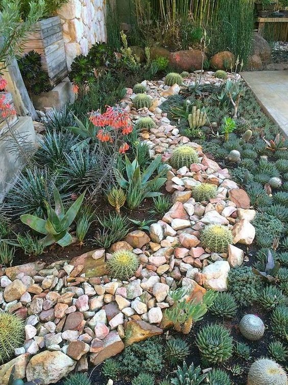Cactus Gravel Garden Beds
