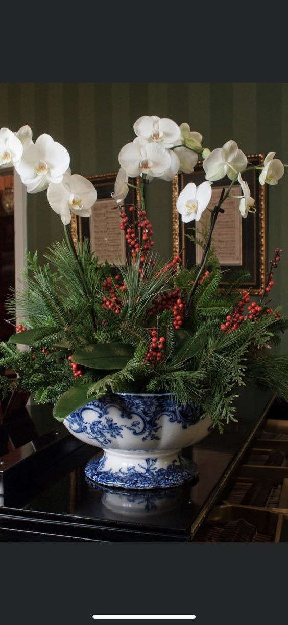 Christmas Orchid And Berry Arrangement