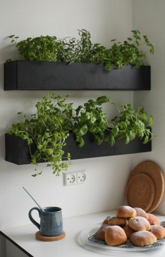 DIY Herb Garden Wall