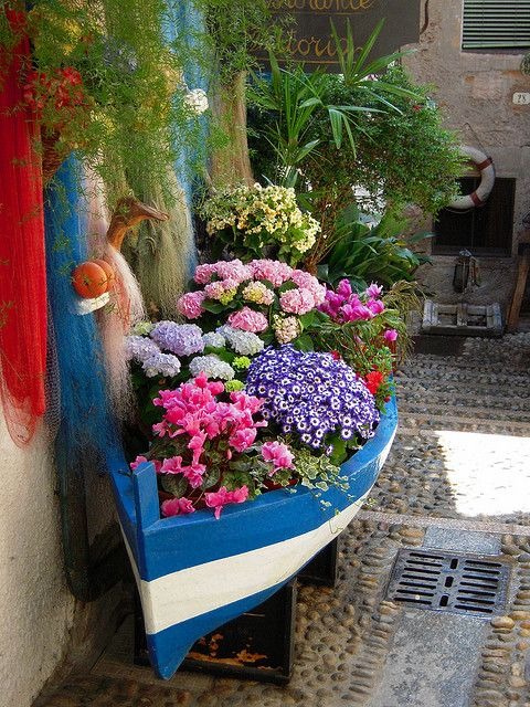Flower Bed In A Boat
