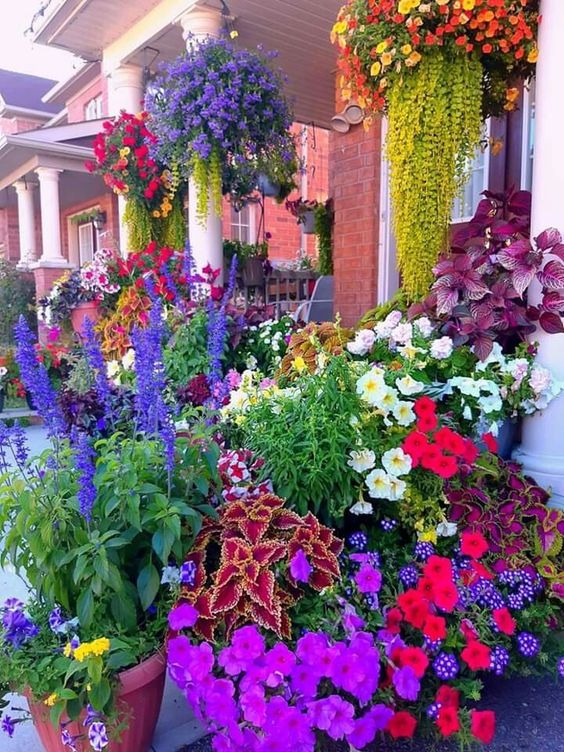 Front House Flower Bed