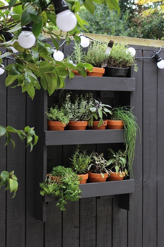 Herb Garden On The Fence