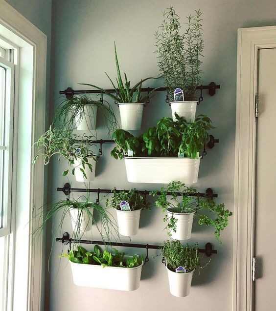 Indoor Hanging Herb Garden