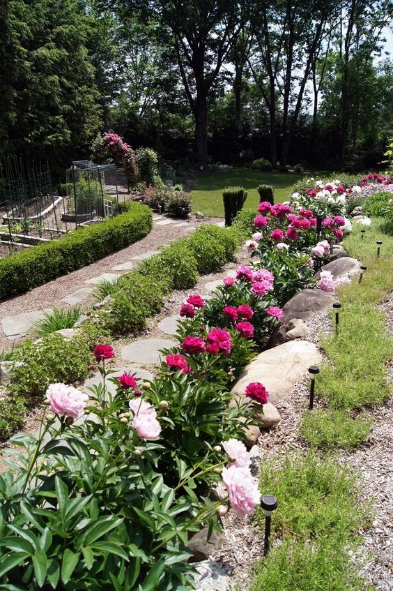 20 Cutting Garden Flowers You Can Easily Grow In Your Backyard